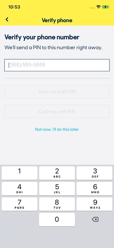 Verification screenshot 